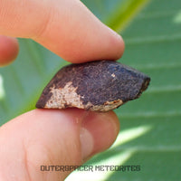 Hammadah al Hamra 346 (aka. Ghadamis) - L6 Ordinary Chondrite - Complete Individual - 20.15g - Libya