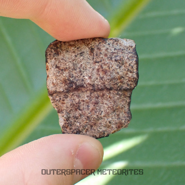 Hammadah al Hamra 346 (aka. Ghadamis) - L6 Ordinary Chondrite - Complete Individual - 20.15g - Libya