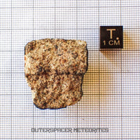 Hammadah al Hamra 346 (aka. Ghadamis) - L6 Ordinary Chondrite - Complete Individual - 20.15g - Libya