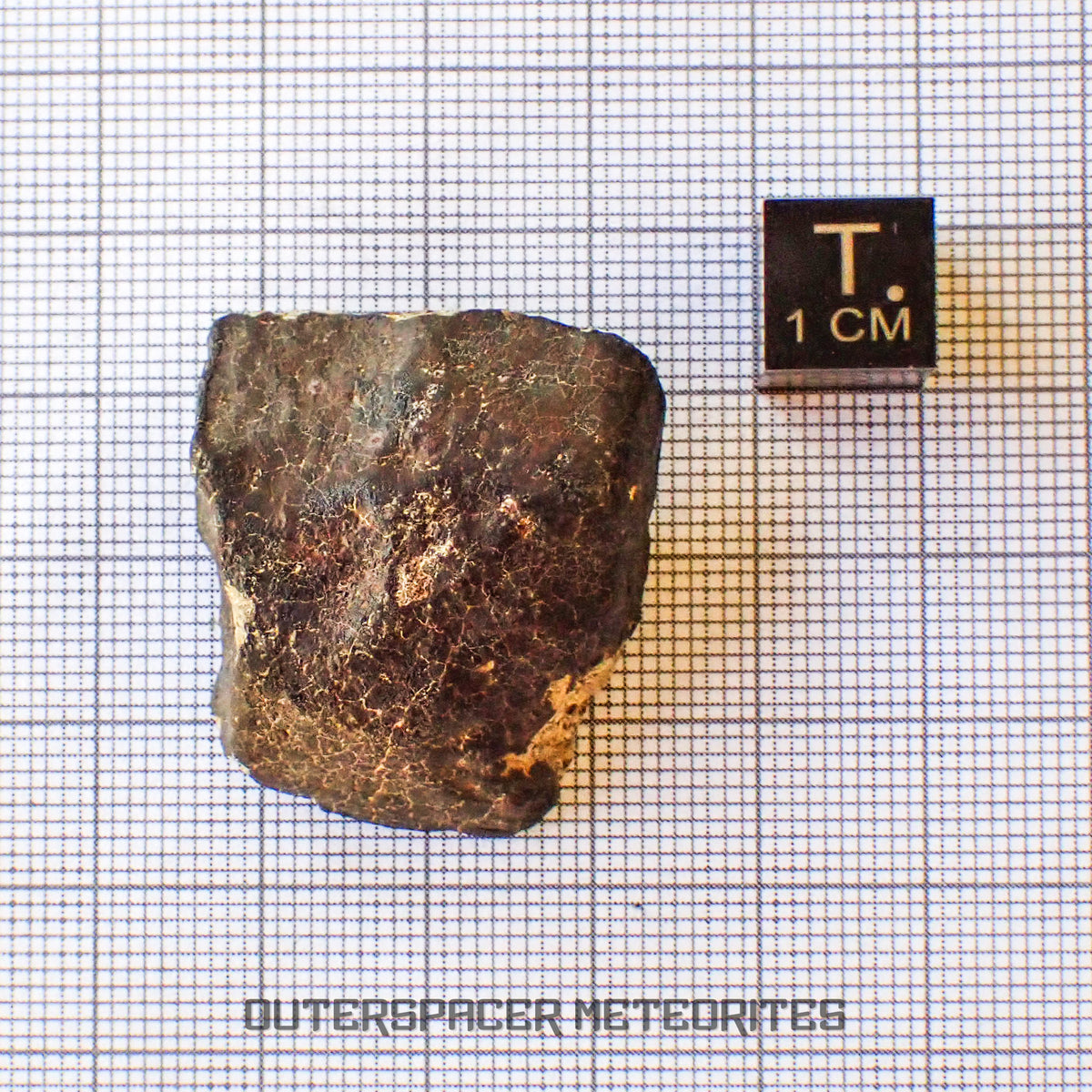 Hammadah al Hamra 346 (aka. Ghadamis) - L6 Ordinary Chondrite - Complete Individual - 20.15g - Libya