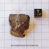 Hammadah al Hamra 346 (aka. Ghadamis) - L6 Ordinary Chondrite - Complete Individual - 20.15g - Libya