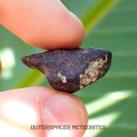 Hammadah al Hamra 346 (alias Ghadamis) - Chondrite ordinaire L6 - Individu complet - 6,65g - Libye