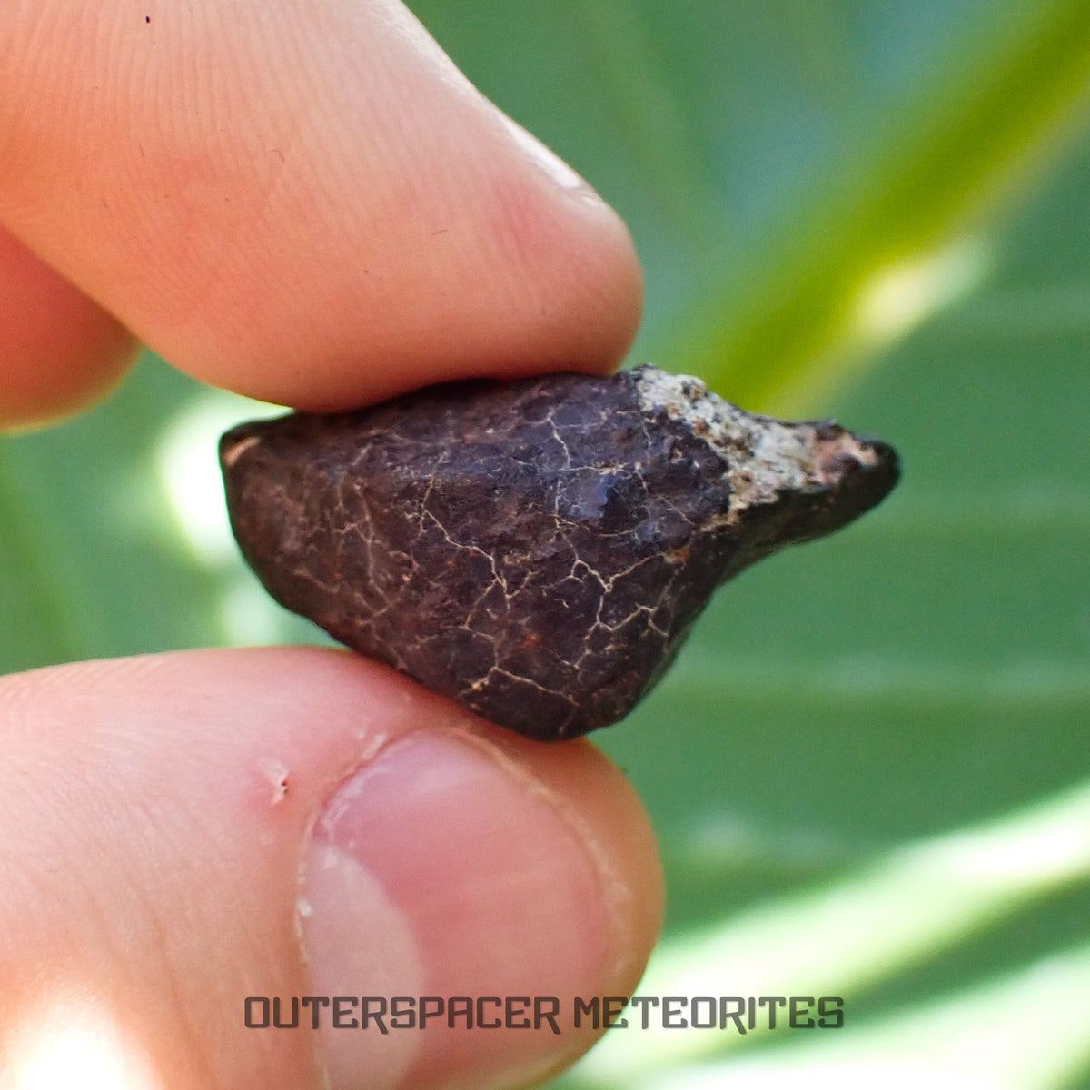 Hammadah al Hamra 346 (alias Ghadamis) - Chondrite ordinaire L6 - Individu complet - 6,65g - Libye
