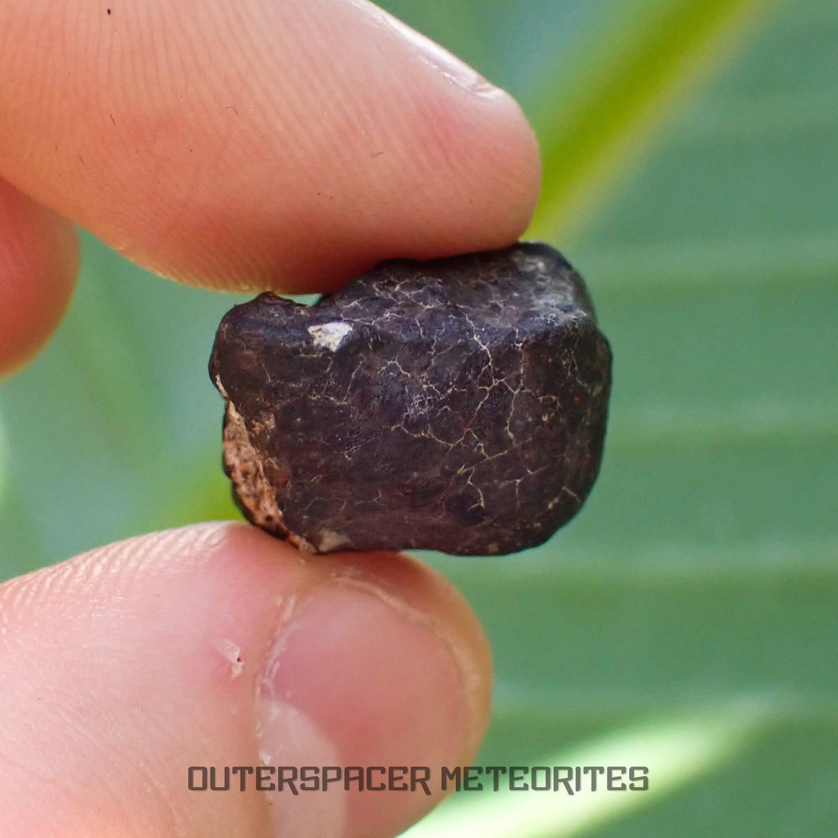 Hammadah al Hamra 346 (alias Ghadamis) - Chondrite ordinaire L6 - Individu complet - 6,65g - Libye