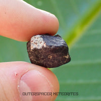 Hammadah al Hamra 346 (alias Ghadamis) - Chondrite ordinaire L6 - Individu complet - 6,65g - Libye