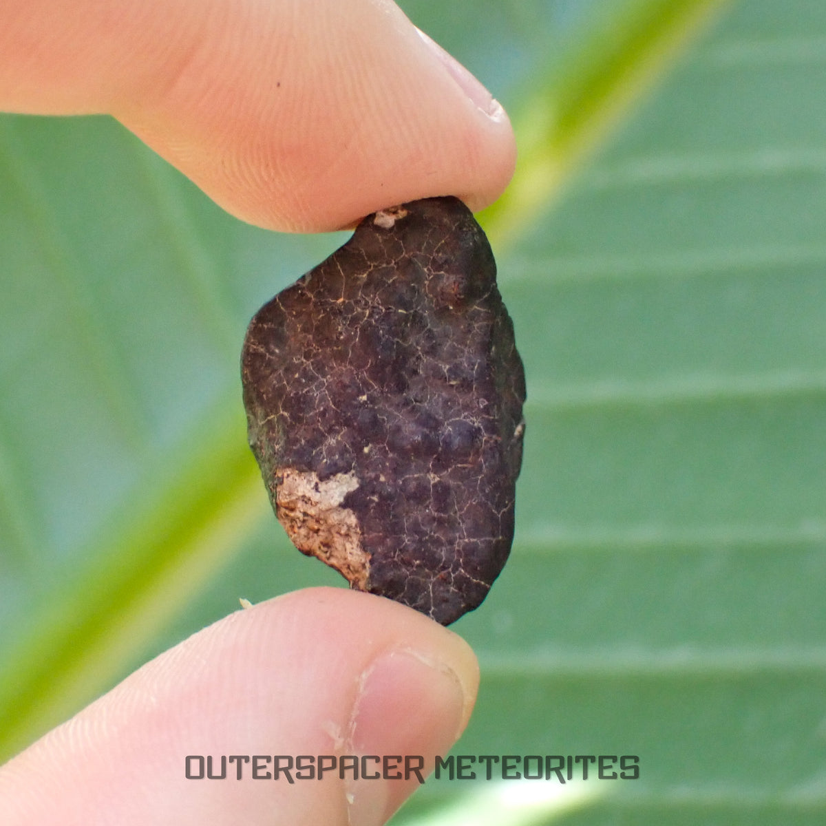 Hammadah al Hamra 346 (alias Ghadamis) - Chondrite ordinaire L6 - Individu complet - 6,65g - Libye