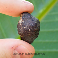 Hammadah al Hamra 346 (alias Ghadamis) - Chondrite ordinaire L6 - Individu complet - 6,65g - Libye