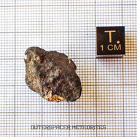 Hammadah al Hamra 346 (alias Ghadamis) - Chondrite ordinaire L6 - Individu complet - 6,65g - Libye