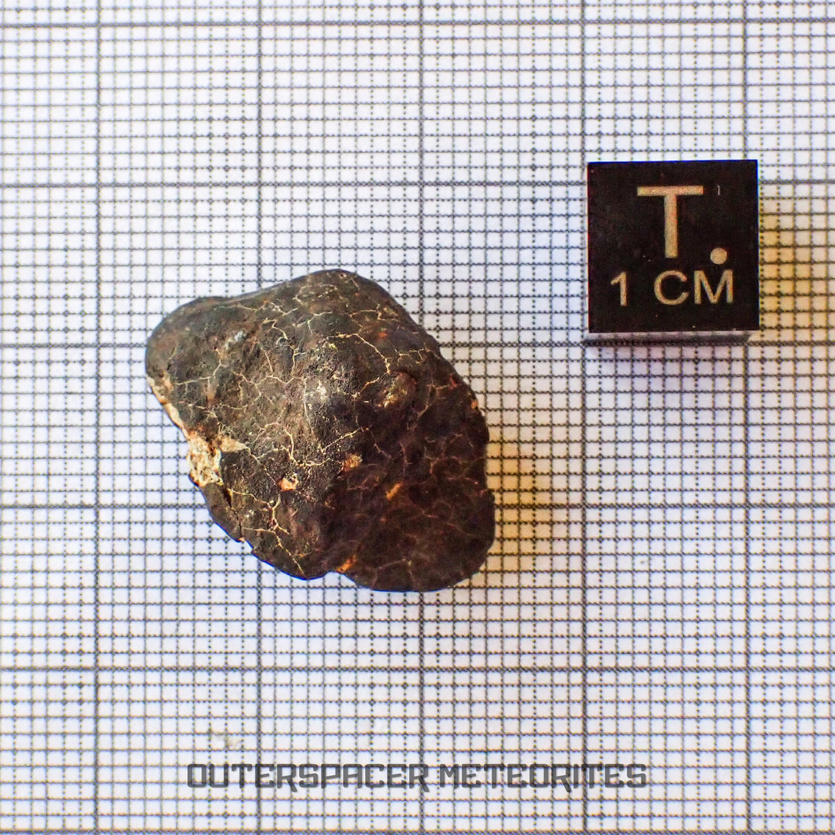 Hammadah al Hamra 346 (alias Ghadamis) - Chondrite ordinaire L6 - Individu complet - 6,65g - Libye