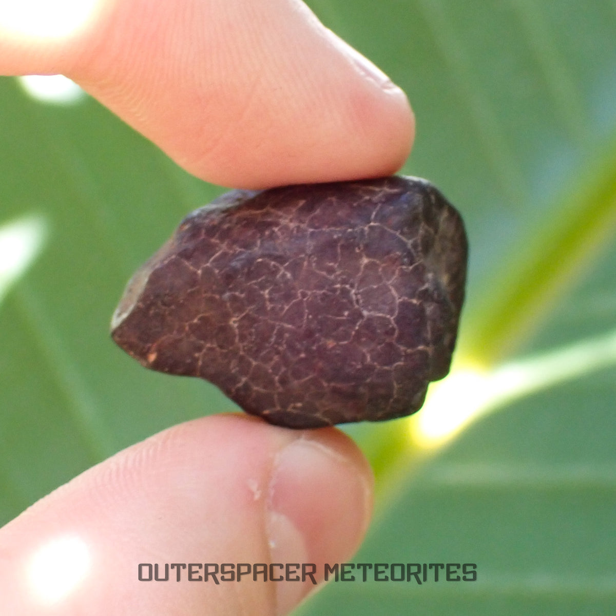 Hammadah al Hamra 346 (aka. Ghadamis) - L6 Ordinary Chondrite - Complete Individual - 17.35g - Libya
