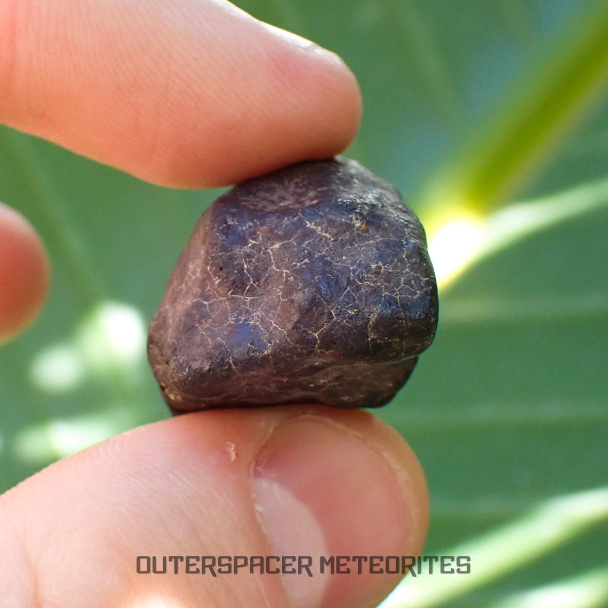 Hammadah al Hamra 346 (aka. Ghadamis) - L6 Ordinary Chondrite - Complete Individual - 17.35g - Libya