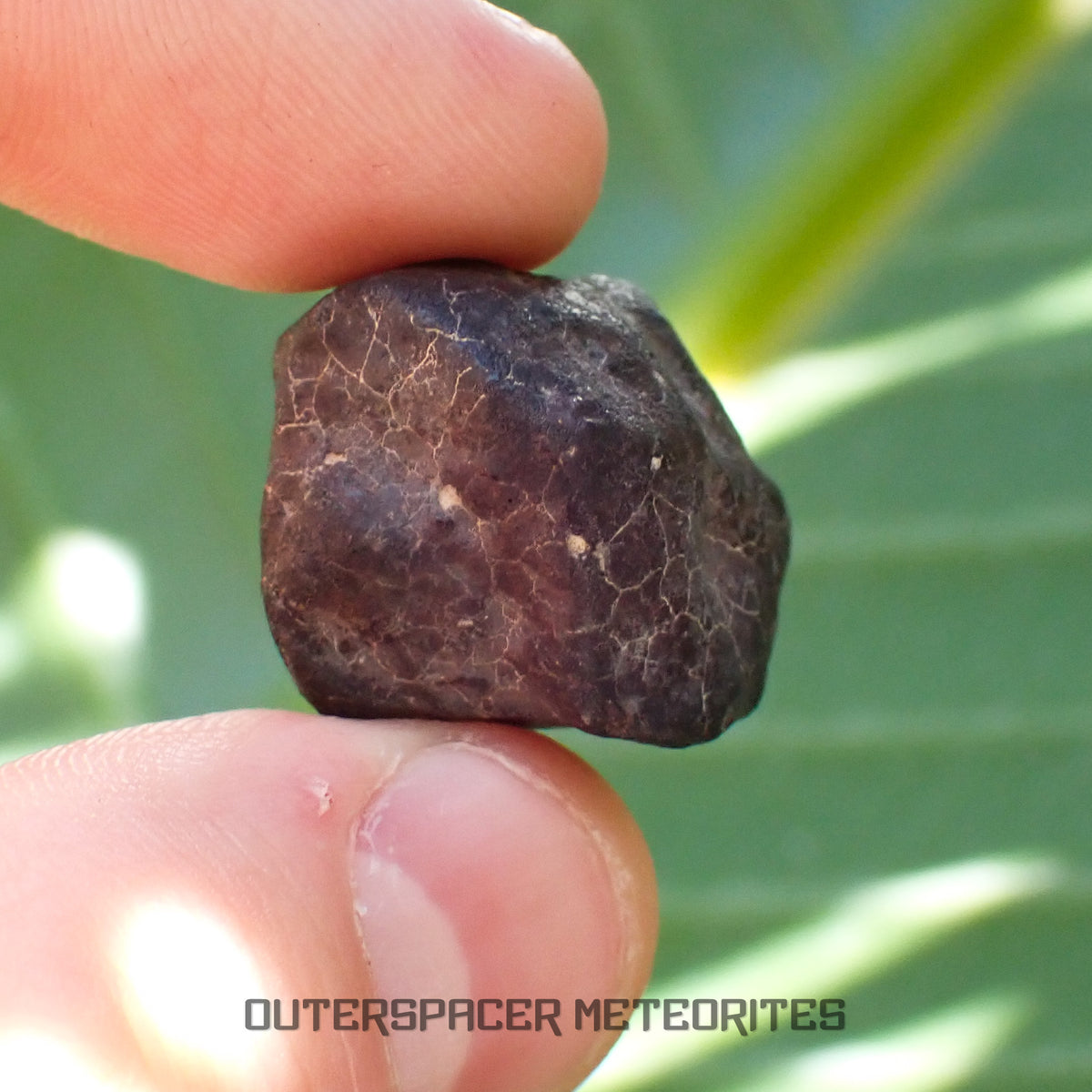 Hammadah al Hamra 346 (aka. Ghadamis) - L6 Ordinary Chondrite - Complete Individual - 17.35g - Libya