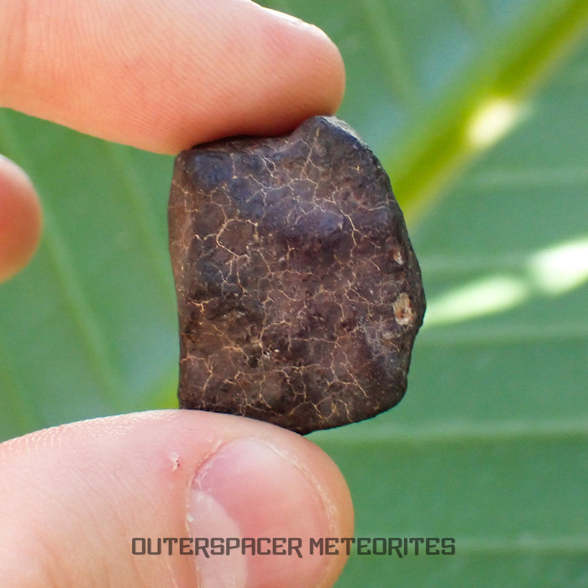 Hammadah al Hamra 346 (aka. Ghadamis) - L6 Ordinary Chondrite - Complete Individual - 17.35g - Libya