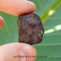 Hammadah al Hamra 346 (aka. Ghadamis) - L6 Ordinary Chondrite - Complete Individual - 17.35g - Libya