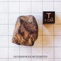 Hammadah al Hamra 346 (aka. Ghadamis) - L6 Ordinary Chondrite - Complete Individual - 17.35g - Libya