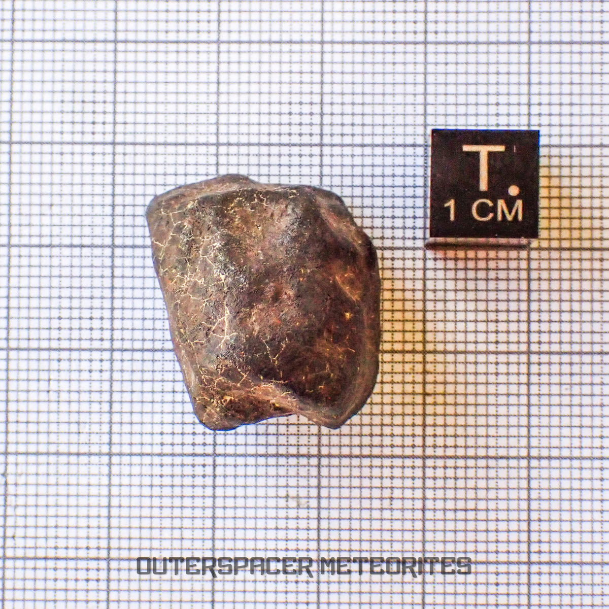 Hammadah al Hamra 346 (aka. Ghadamis) - L6 Ordinary Chondrite - Complete Individual - 17.35g - Libya