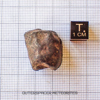 Hammadah al Hamra 346 (aka. Ghadamis) - L6 Ordinary Chondrite - Complete Individual - 17.35g - Libya