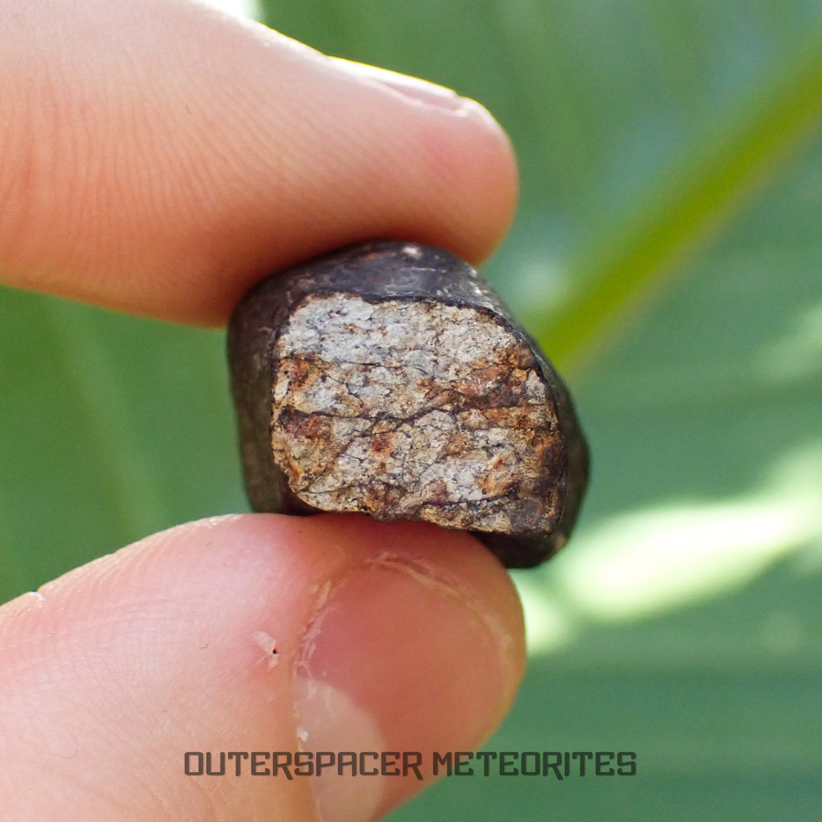 Hammadah al Hamra 346 (también conocida como Ghadames) - Condrita Ordinaria L6 - Individuo Completo - 11.6g - Libia