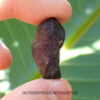 Hammadah al Hamra 346 (también conocida como Ghadames) - Condrita Ordinaria L6 - Individuo Completo - 11.6g - Libia