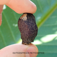 Hammadah al Hamra 346 (también conocida como Ghadames) - Condrita Ordinaria L6 - Individuo Completo - 11.6g - Libia