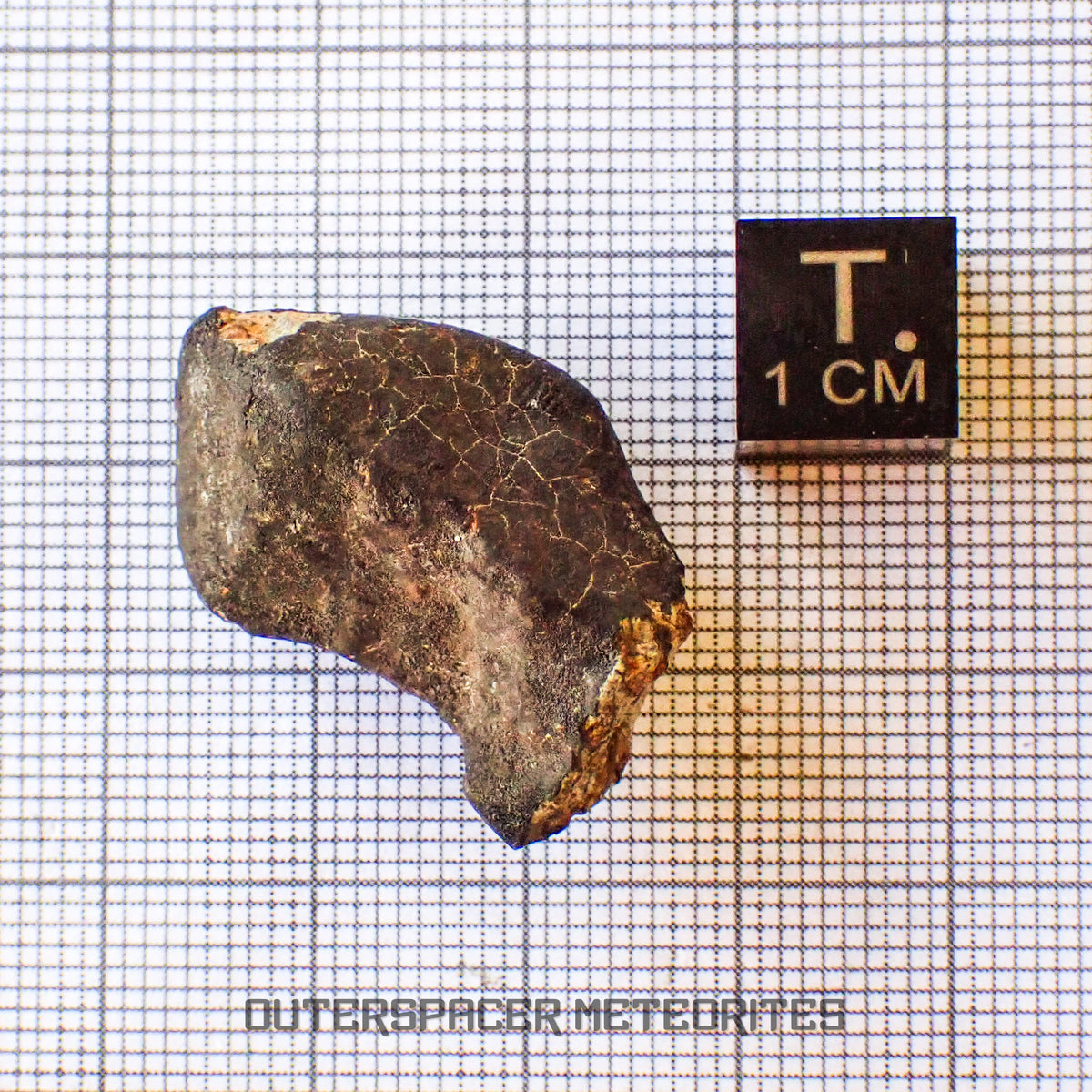 Hammadah al Hamra 346 (también conocida como Ghadames) - Condrita Ordinaria L6 - Individuo Completo - 11.6g - Libia