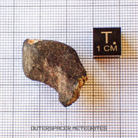 Hammadah al Hamra 346 (también conocida como Ghadames) - Condrita Ordinaria L6 - Individuo Completo - 11.6g - Libia