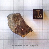 Hammadah al Hamra 346 (también conocida como Ghadames) - Condrita Ordinaria L6 - Individuo Completo - 11.6g - Libia