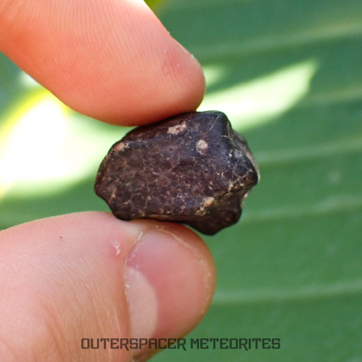 Hammadah al Hamra 346 (aka. Ghadamis) - L6 Ordinary Chondrite - Complete Individual - 7g - Libya