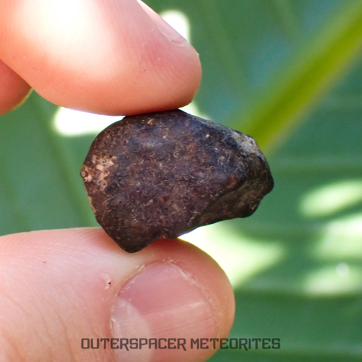 Hammadah al Hamra 346 (aka. Ghadamis) - L6 Ordinary Chondrite - Complete Individual - 7g - Libya
