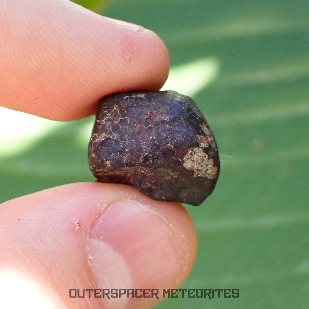 Hammadah al Hamra 346 (aka. Ghadamis) - L6 Ordinary Chondrite - Complete Individual - 7g - Libya