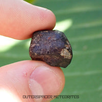 Hammadah al Hamra 346 (aka. Ghadamis) - L6 Ordinary Chondrite - Complete Individual - 7g - Libya