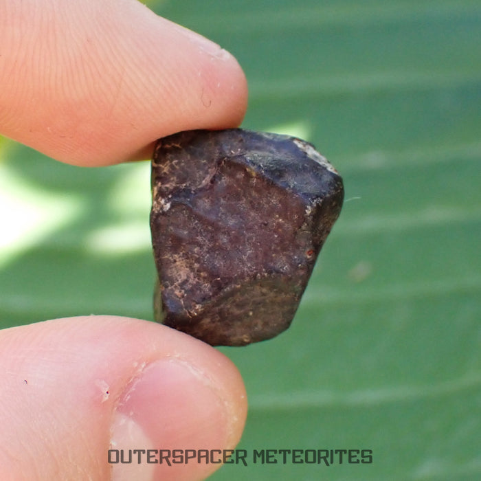 Hammadah al Hamra 346 (aka. Ghadamis) - L6 Ordinary Chondrite - Complete Individual - 7g - Libya