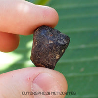 Hammadah al Hamra 346 (aka. Ghadamis) - L6 Ordinary Chondrite - Complete Individual - 7g - Libya