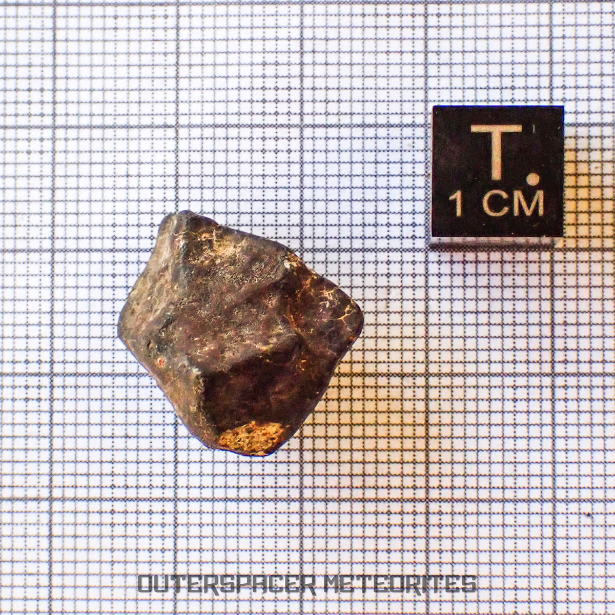 Hammadah al Hamra 346 (aka. Ghadamis) - L6 Ordinary Chondrite - Complete Individual - 7g - Libya
