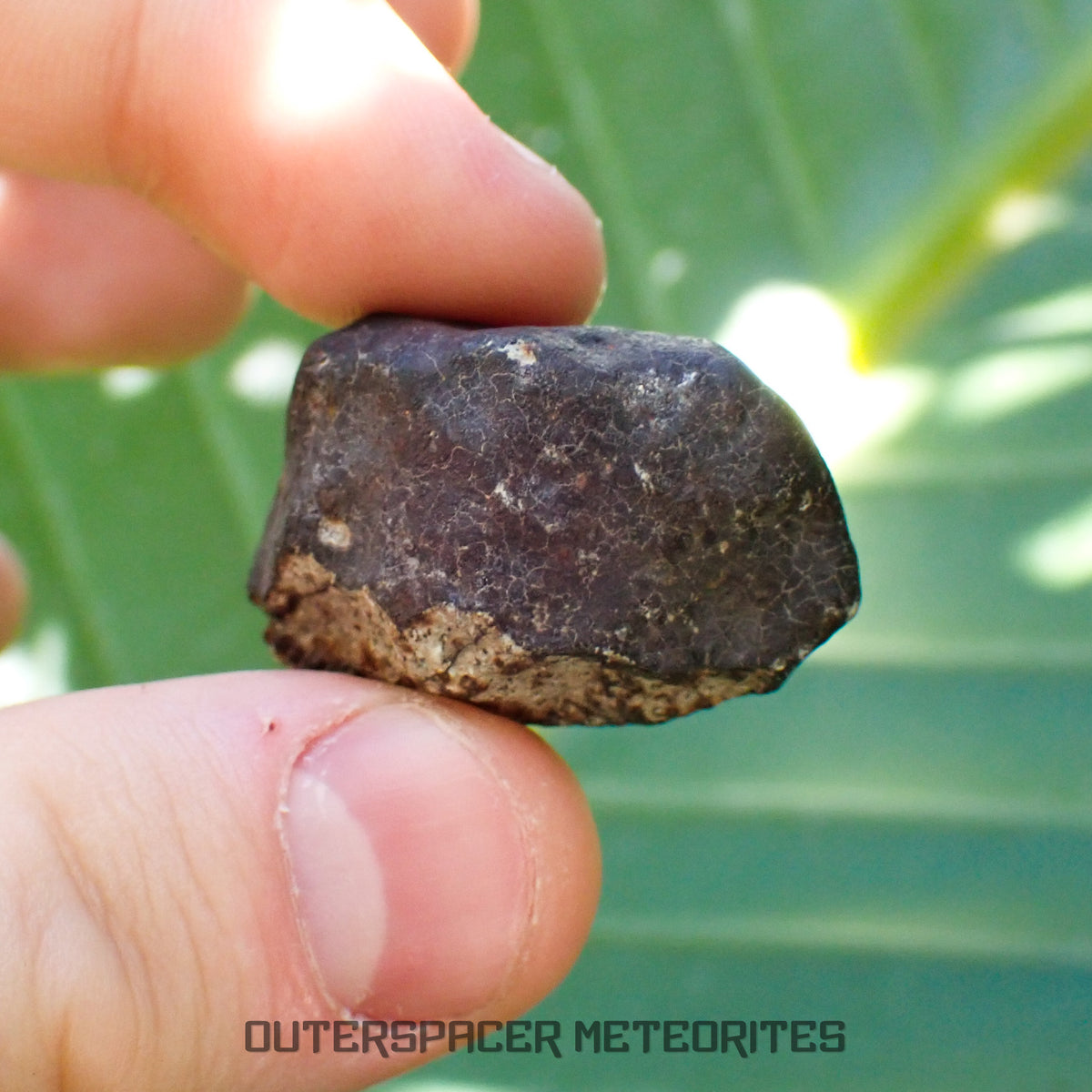 Hammadah al Hamra 346 (aka. Ghadamis) - L6 Ordinary Chondrite - Complete Individual - 22.55g - Libya