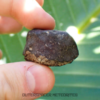 Hammadah al Hamra 346 (aka. Ghadamis) - L6 Ordinary Chondrite - Complete Individual - 22.55g - Libya