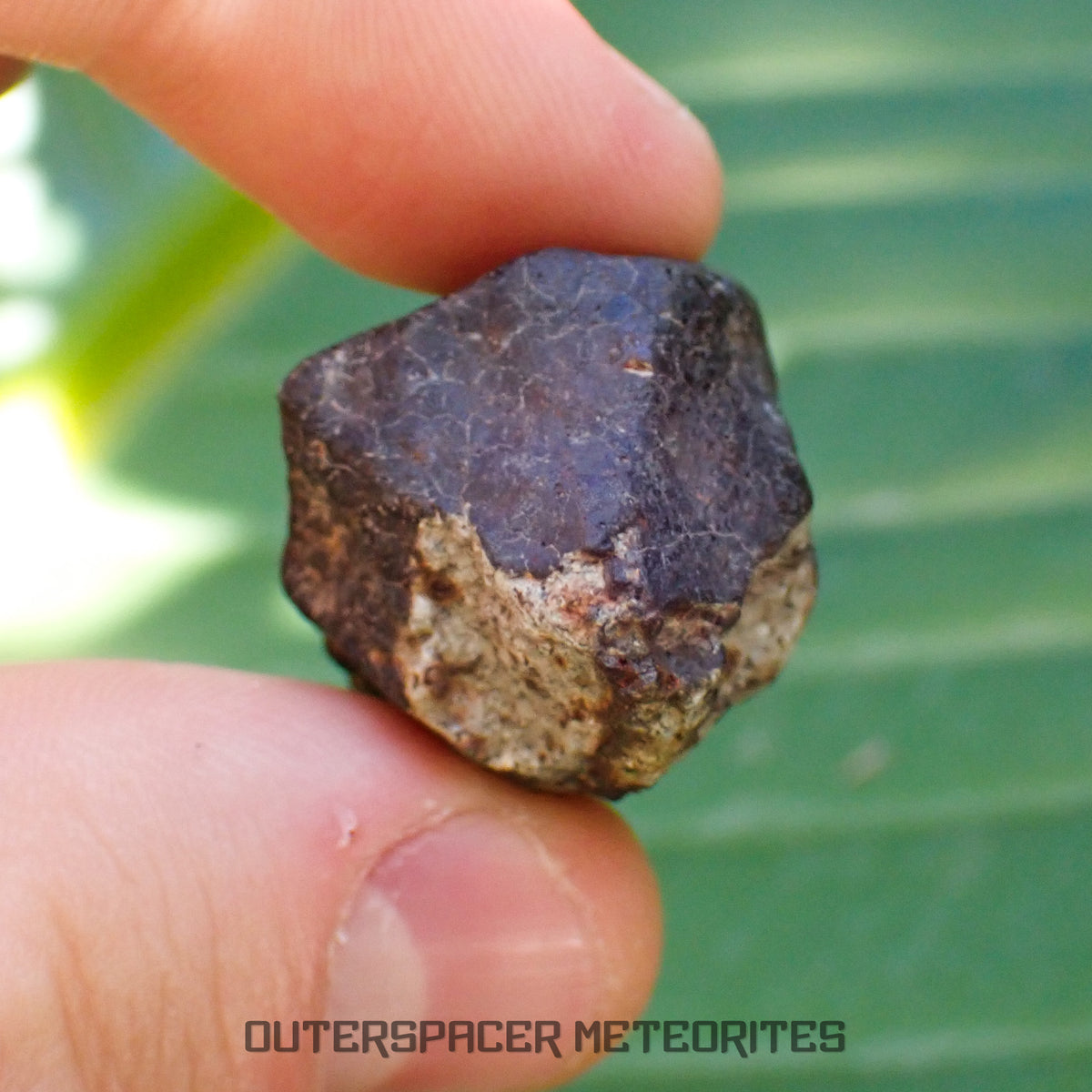 Hammadah al Hamra 346 (aka. Ghadamis) - L6 Ordinary Chondrite - Complete Individual - 22.55g - Libya