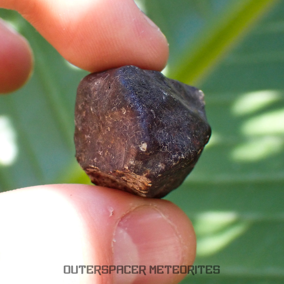 Hammadah al Hamra 346 (aka. Ghadamis) - L6 Ordinary Chondrite - Complete Individual - 22.55g - Libya