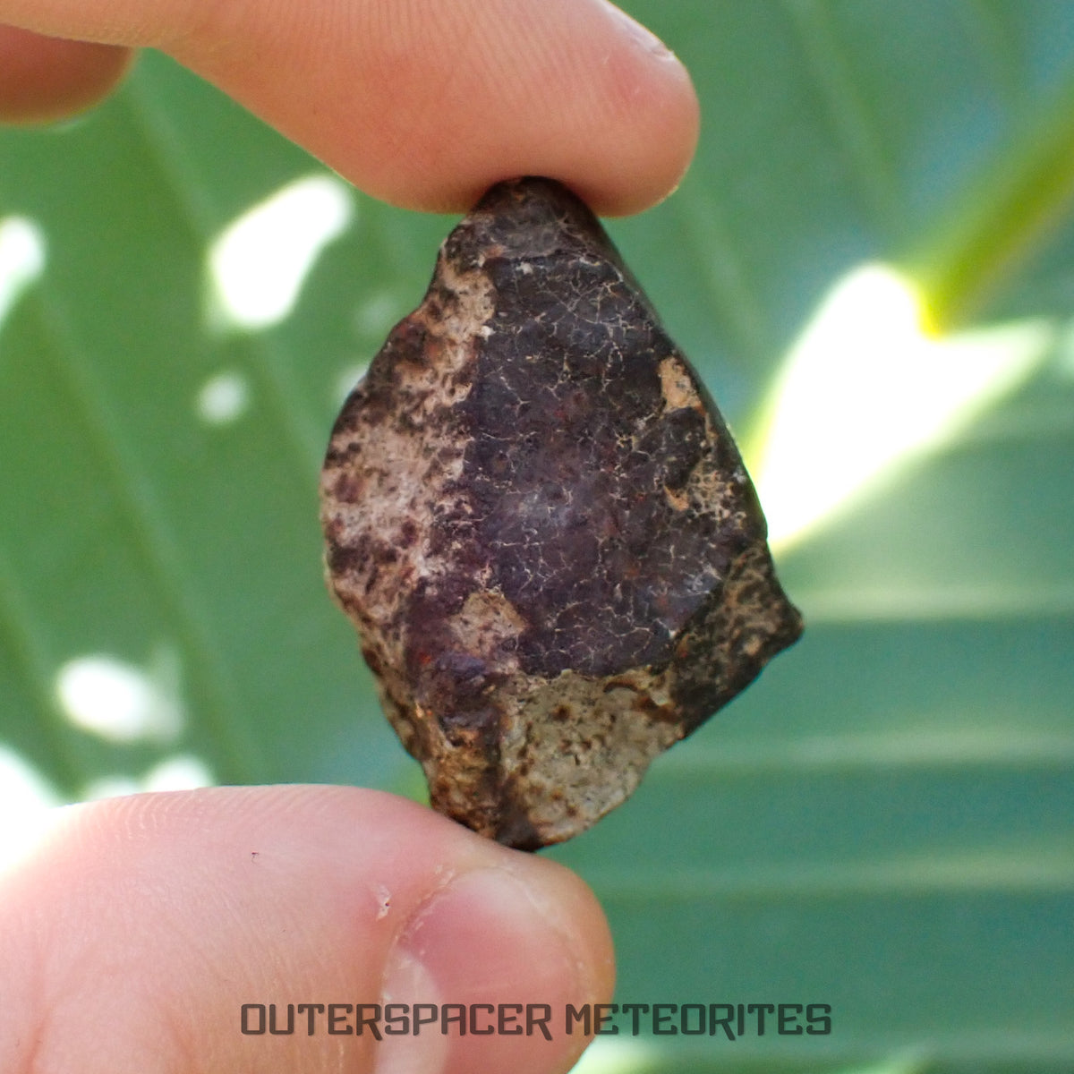Hammadah al Hamra 346 (aka. Ghadamis) - L6 Ordinary Chondrite - Complete Individual - 22.55g - Libya