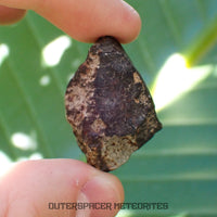 Hammadah al Hamra 346 (aka. Ghadamis) - L6 Ordinary Chondrite - Complete Individual - 22.55g - Libya