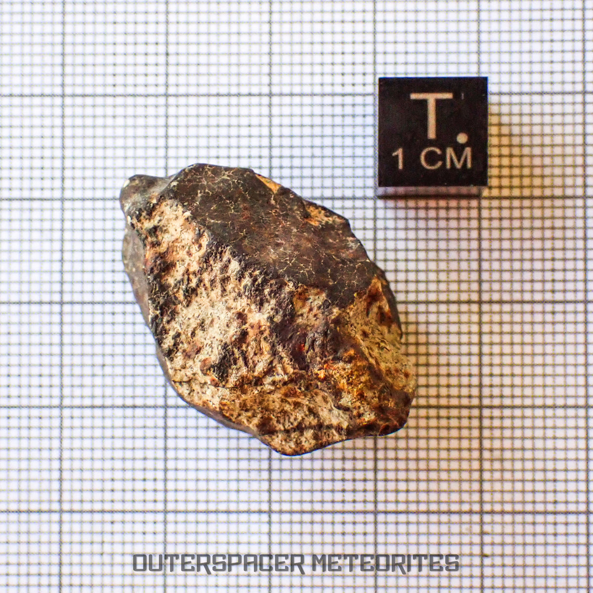 Hammadah al Hamra 346 (aka. Ghadamis) - L6 Ordinary Chondrite - Complete Individual - 22.55g - Libya