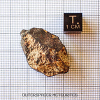 Hammadah al Hamra 346 (aka. Ghadamis) - L6 Ordinary Chondrite - Complete Individual - 22.55g - Libya