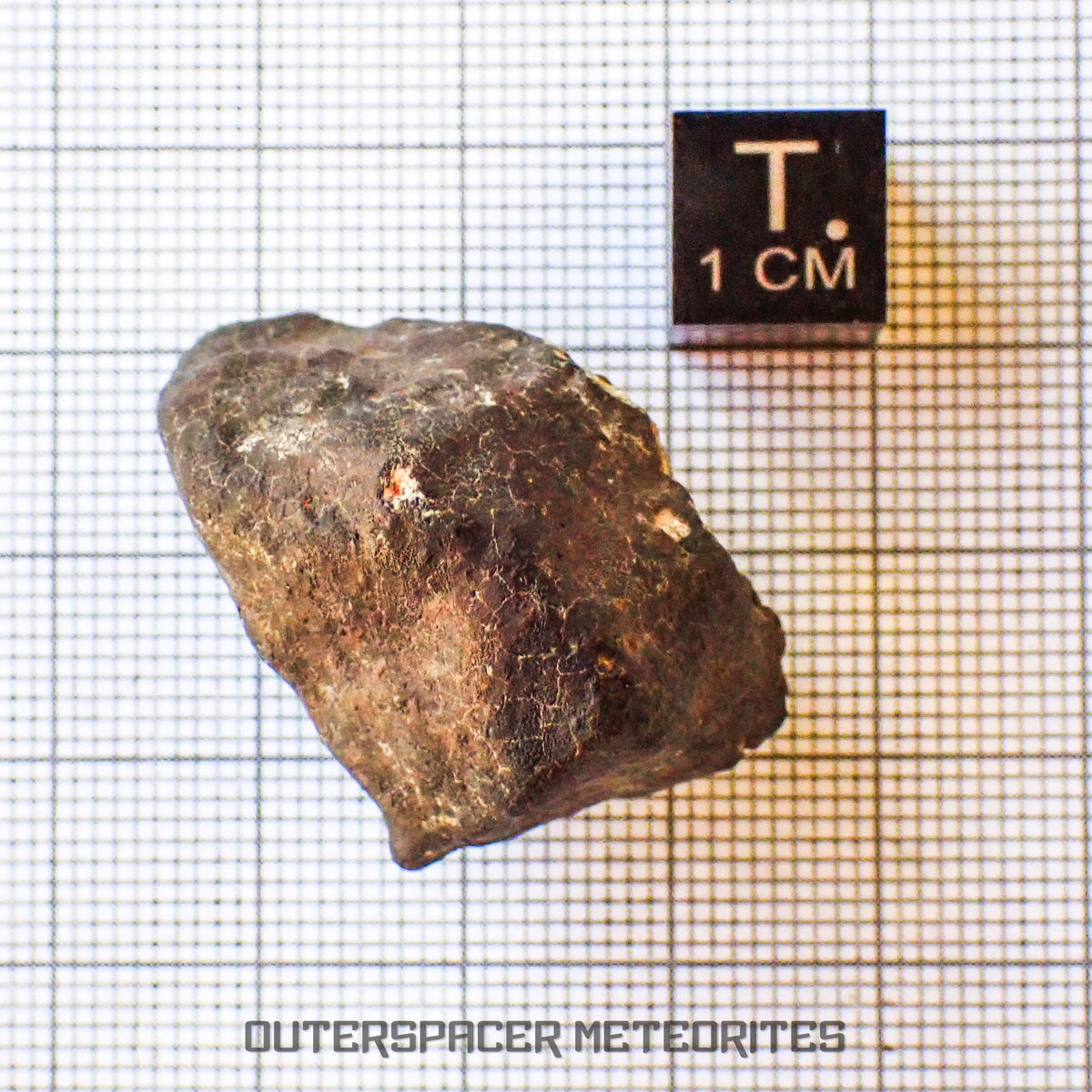 Hammadah al Hamra 346 (aka. Ghadamis) - L6 Ordinary Chondrite - Complete Individual - 22.55g - Libya