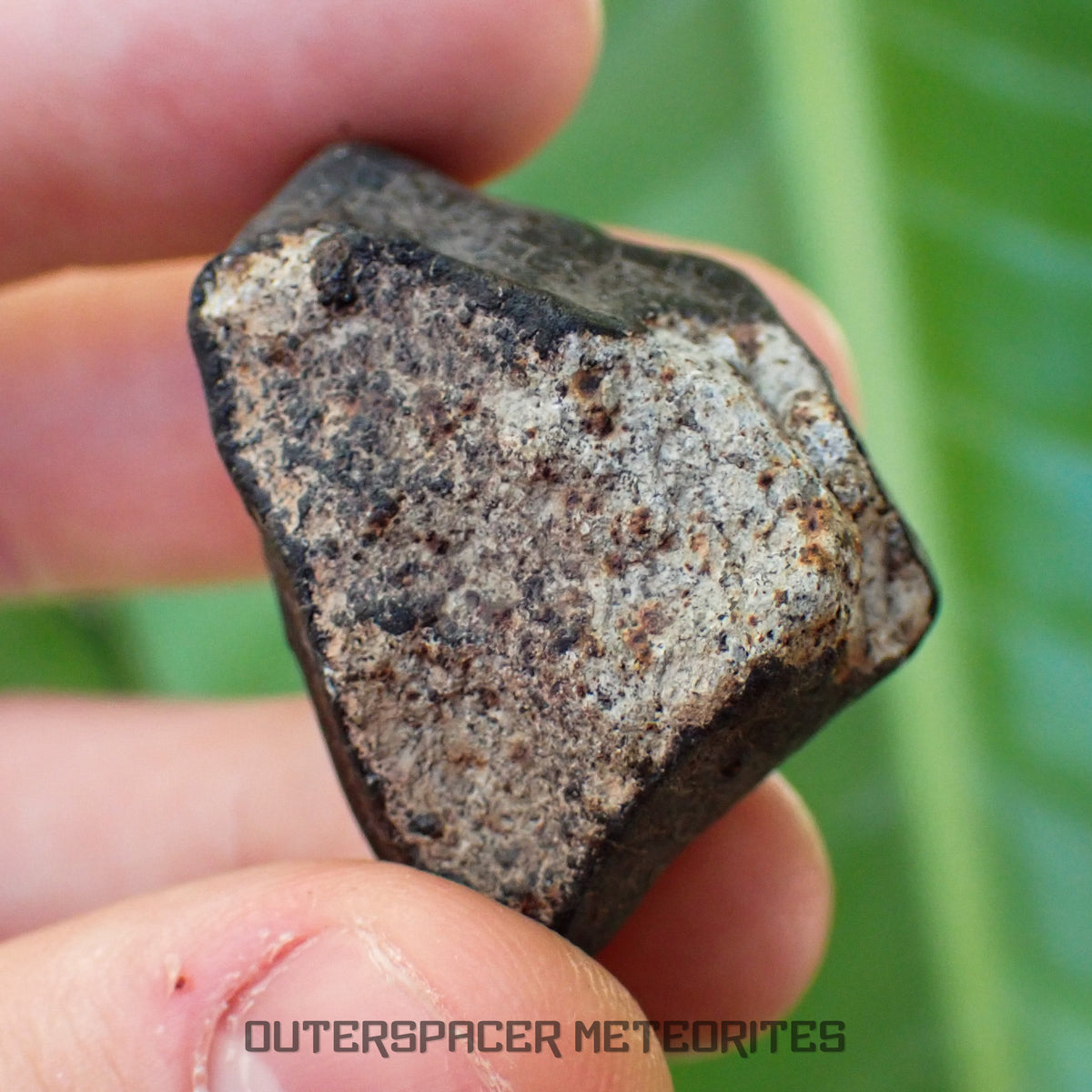 Hammadah al Hamra 346 (aka. Ghadamis) - L6 Ordinary Chondrite - Complete Individual - 34.45g - Libya