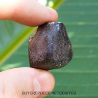 Hammadah al Hamra 346 (aka. Ghadamis) - L6 Ordinary Chondrite - Complete Individual - 34.45g - Libya