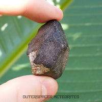 Hammadah al Hamra 346 (aka. Ghadamis) - L6 Ordinary Chondrite - Complete Individual - 34.45g - Libya