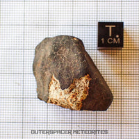 Hammadah al Hamra 346 (aka. Ghadamis) - L6 Ordinary Chondrite - Complete Individual - 34.45g - Libya