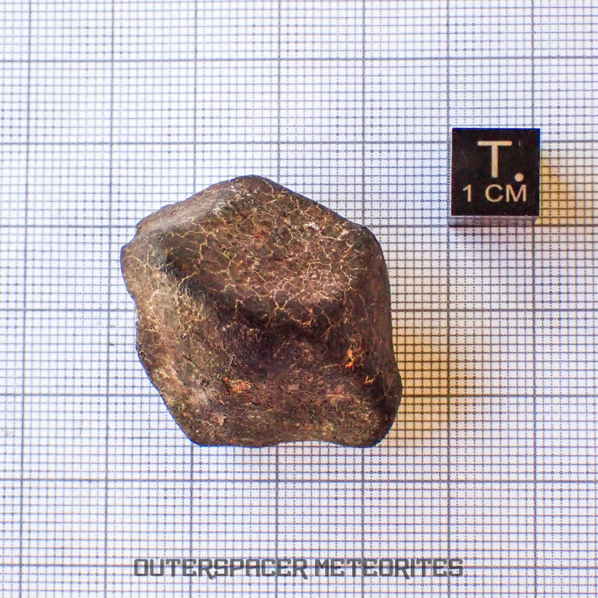 Hammadah al Hamra 346 (aka. Ghadamis) - L6 Ordinary Chondrite - Complete Individual - 34.45g - Libya
