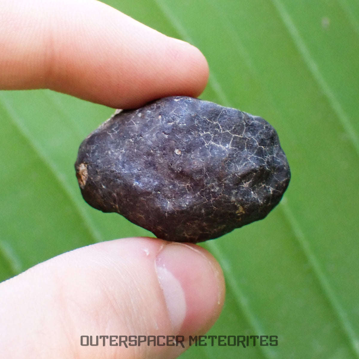 Hammadah al Hamra 346 (aka. Ghadamis) - L6 Ordinary Chondrite - Complete Individual - 35.7g - Libya