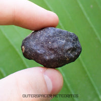 Hammadah al Hamra 346 (aka. Ghadamis) - L6 Ordinary Chondrite - Complete Individual - 35.7g - Libya